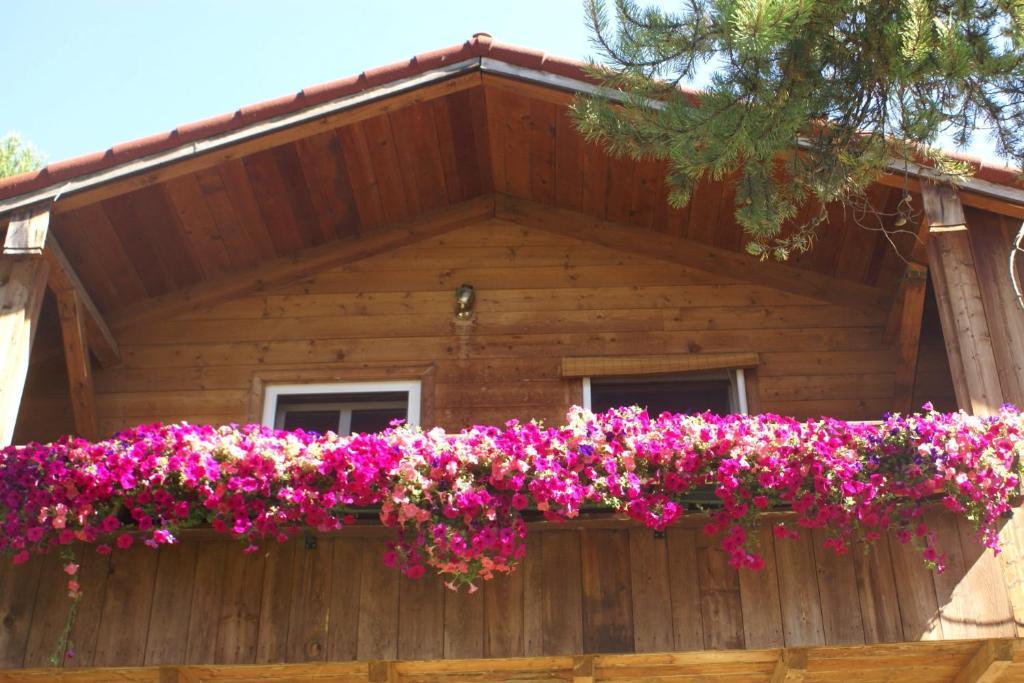 Alpenglow Bed And Breakfast Kimberley Phòng bức ảnh